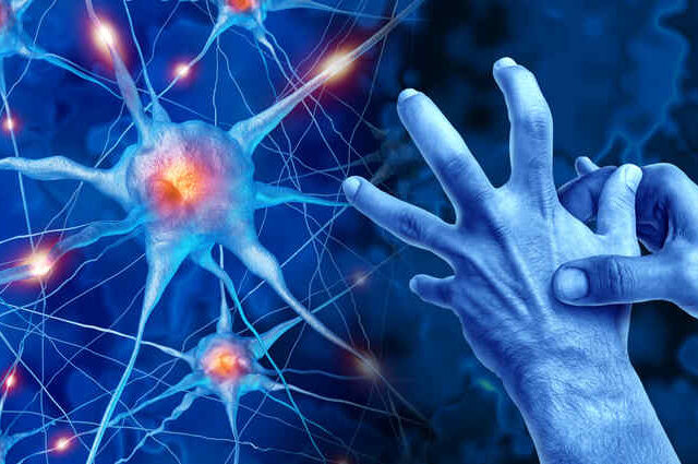 Nueva herramienta para investigar el Parkinson