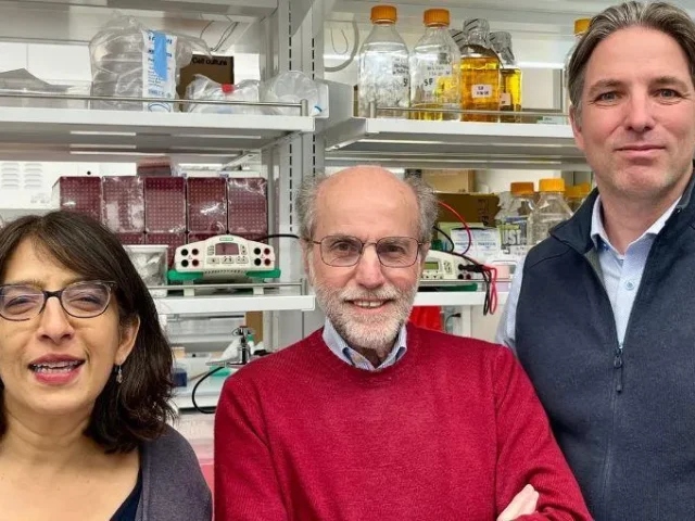 Yale School of Medicine: De Centro de Investigación a Líder en Ciencia del Parkinson