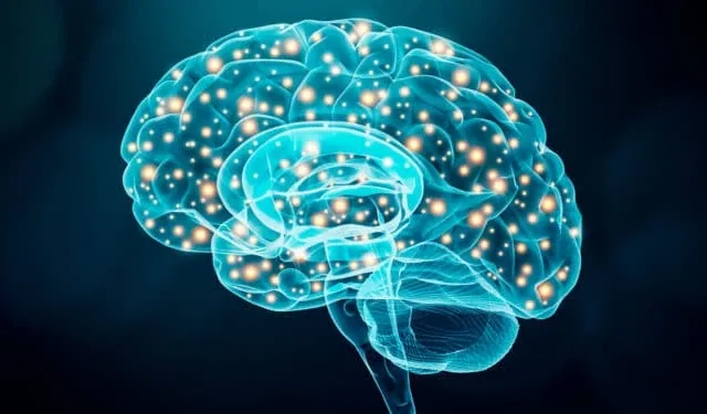 La inteligencia artificial ayuda a ajustar la estimulación cerebral profunda para mejorar el caminar en la enfermedad de Párkinson