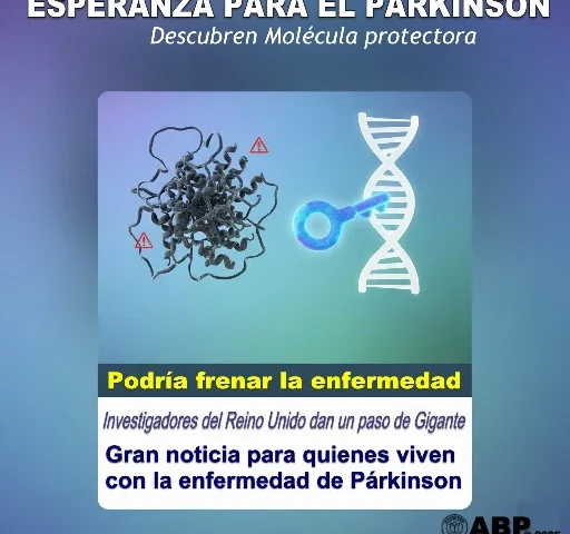Nuevo avance científico: Identifican una molécula que podría ayudar a combatir la enfermedad de Párkinson