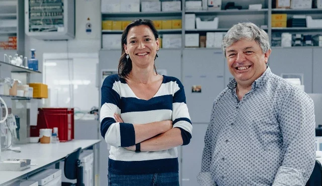 Nuevo estudio refuerza el trasplante de microbiota fecal para el Párkinson