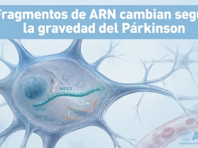 Descubren que pequeños fragmentos de ARN cambian según la gravedad del Párkinson
