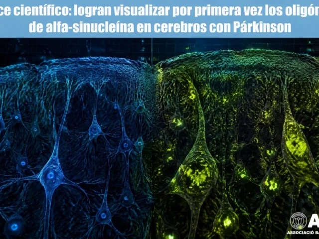 vance científico: logran visualizar por primera vez los oligómeros de alfa-sinucleína en cerebros con Párkinson
