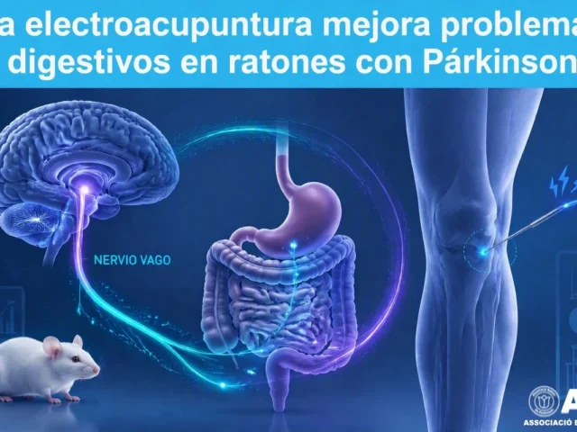 La electroacupuntura mejora problemas digestivos en ratones con Párkinson