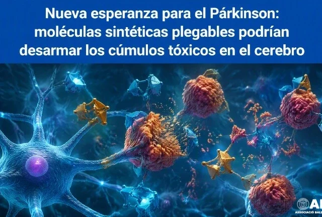Nueva esperanza para el Párkinson: moléculas sintéticas plegables podrían desarmar los cúmulos tóxicos en el cerebro
