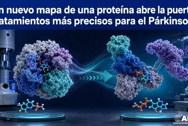Un nuevo mapa de una proteína abre la puerta a tratamientos más precisos para el Párkinson