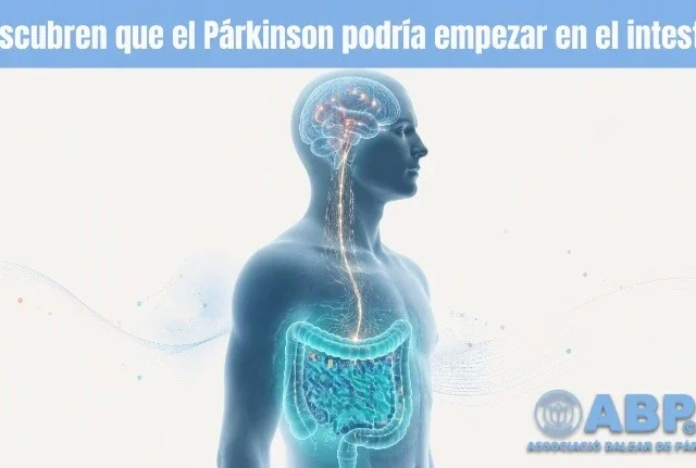 Descubren que el Párkinson podría empezar en el intestino y abren la puerta a tratamientos más sencillos