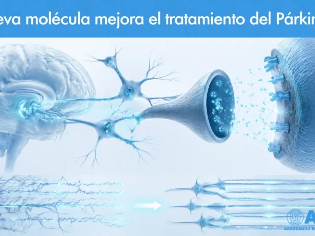 Nueva molécula mejora el tratamiento del Párkinson y reduce los movimientos involuntarios