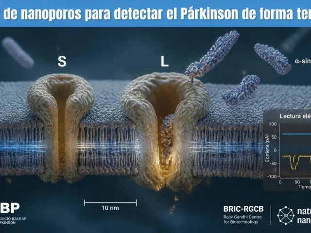 Científicos de la India crean un sensor de nanoporos para detectar el Párkinson de forma temprana