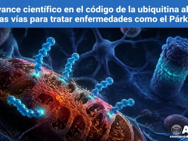 Avance científico en el código de la ubiquitina abre nuevas vías para tratar enfermedades como el Párkinson