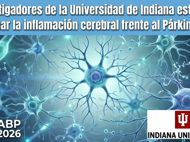 Investigadores de la Universidad de Indiana estudian frenar la inflamación cerebral frente al Párkinson