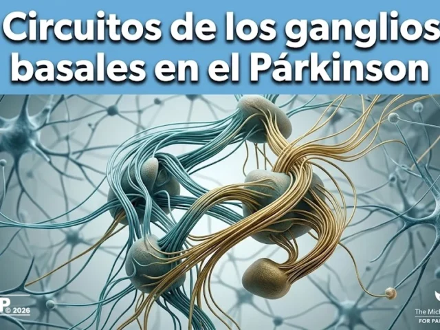 Nueva investigación busca circuitos cerebrales que podrían mejorar el movimiento en el Párkinson