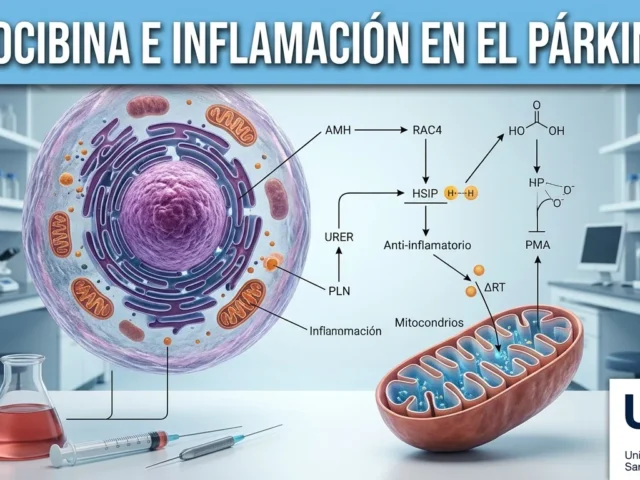 La psilocibina se vincula con menor inflamación en un estudio preliminar sobre el Párkinson