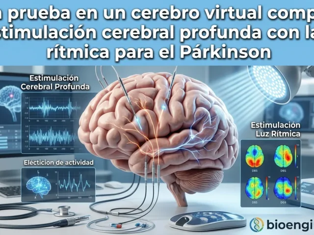 Una prueba en un cerebro virtual compara la estimulación cerebral profunda con la luz rítmica para el Párkinson