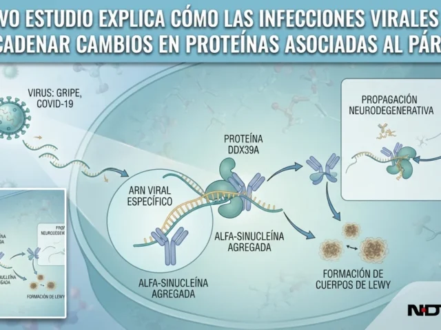 Un nuevo estudio explica cómo las infecciones virales pueden desencadenar cambios en proteínas asociadas al Párkinson